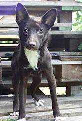 700 X 1024 85.2 Kb 1920 X 2455 201.9 Kb 768 X 859 88.5 Kb  :  -,     