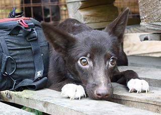 1024 X 736 110.4 Kb 700 X 1024 85.2 Kb 1920 X 2455 201.9 Kb 768 X 859 88.5 Kb  :  -,     