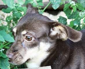 943 X 768 305.3 Kb 1024 X 716 380.6 Kb  :  -,     