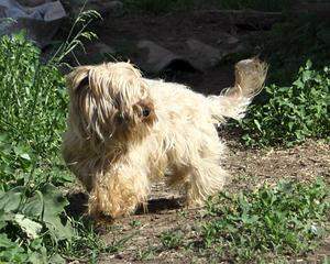 960 X 768 147.1 Kb  :  -,     