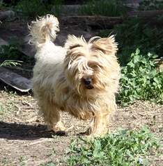 768 X 786 328.4 Kb 960 X 768 147.1 Kb  :  -,     