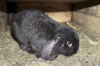 1920 X 1280 344.0 Kb ��������� �������� ����