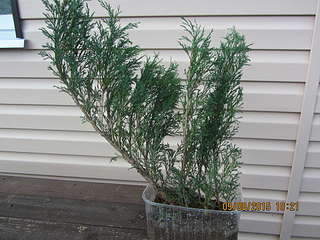 1920 X 1440 347.2 Kb �������� ������������