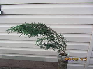 1920 X 1440 212.8 Kb 1920 X 1440 347.2 Kb �������� ������������