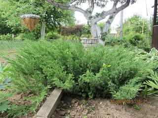 1920 X 1440 515.4 Kb �������� ������������