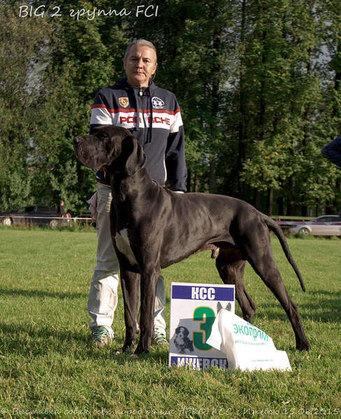 1920 X 2356 763.4 Kb 1920 X 2254 573.9 Kb 1920 X 1968 509.9 Kb 15-16 августа 2015 КСС Ижевск приглашает на выставку ранга ЧРКФ