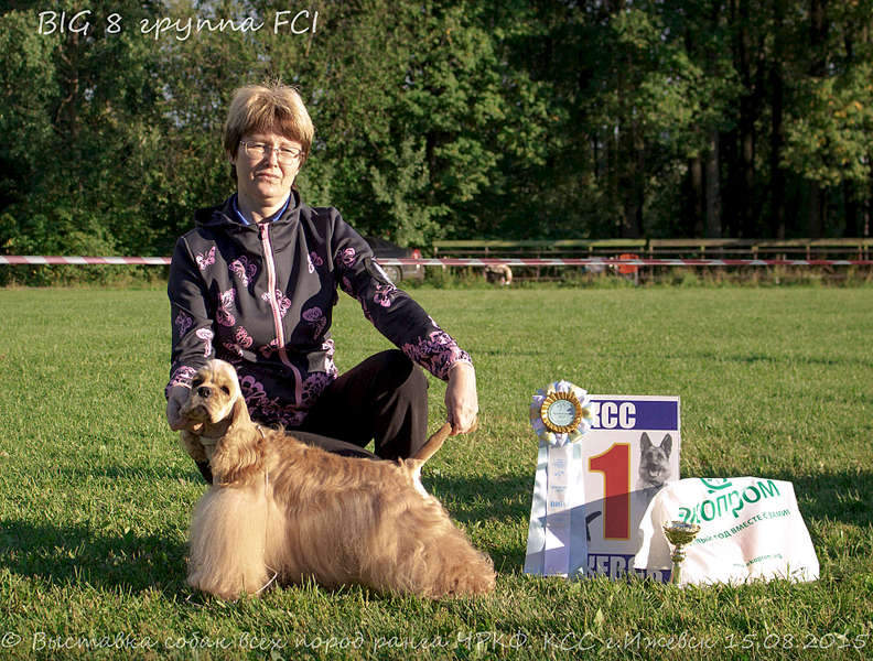 1920 X 1453 508.6 Kb 1920 X 1743 511.1 Kb 1920 X 1654 462.8 Kb 15-16 августа 2015 КСС Ижевск приглашает на выставку ранга ЧРКФ