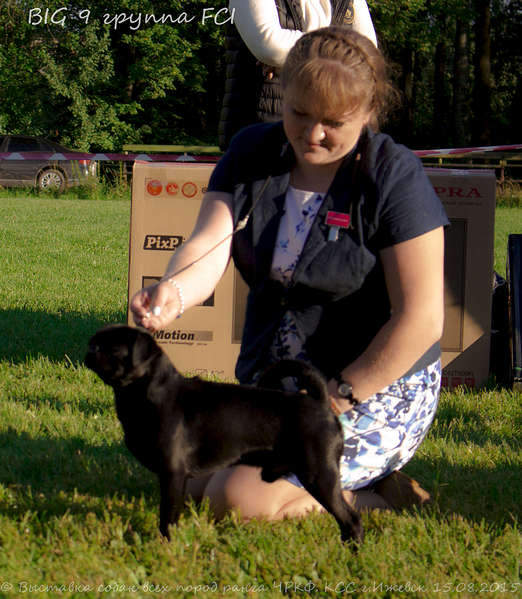 1920 X 2204 495.3 Kb 1920 X 2053 781.8 Kb 1920 X 1750 545.3 Kb 15-16 августа 2015 КСС Ижевск приглашает на выставку ранга ЧРКФ