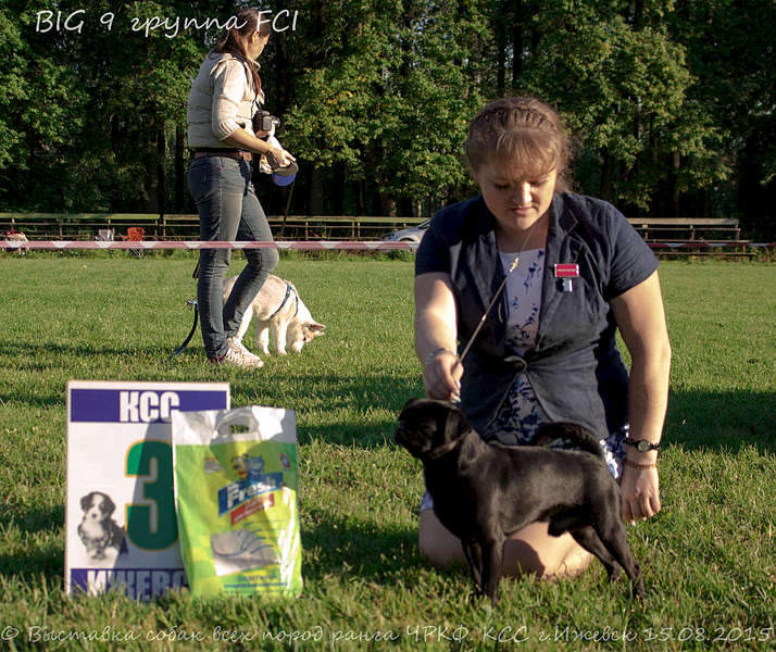 1920 X 1613 540.0 Kb 1920 X 2311 552.4 Kb 1920 X 2137 533.4 Kb 15-16 августа 2015 КСС Ижевск приглашает на выставку ранга ЧРКФ