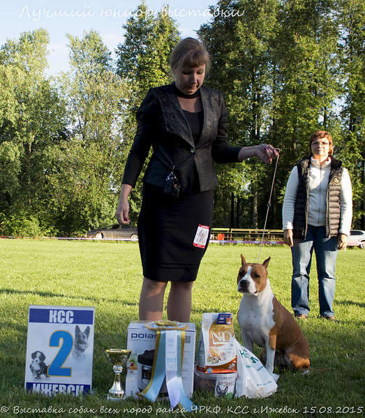 1920 X 2200 862.9 Kb 15-16 августа 2015 КСС Ижевск приглашает на выставку ранга ЧРКФ