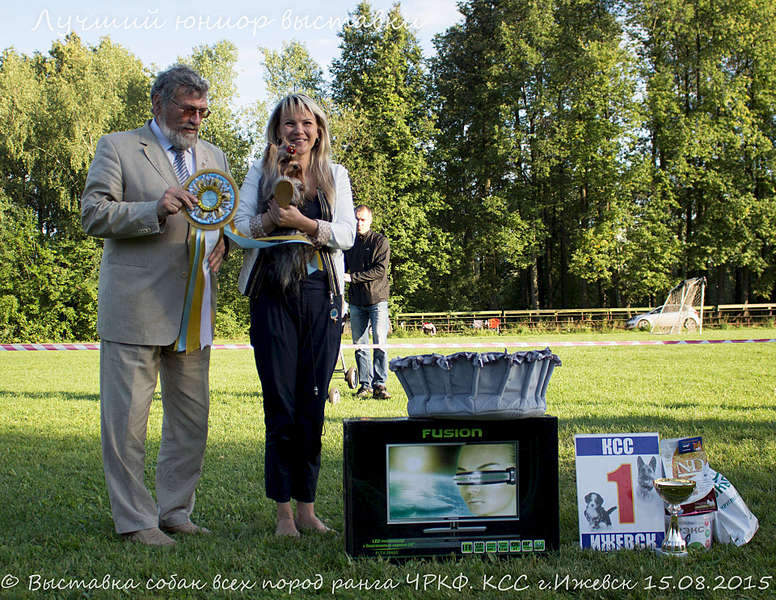 1920 X 1484 618.5 Kb 1920 X 1413 456.6 Kb 1920 X 2200 862.9 Kb 15-16 августа 2015 КСС Ижевск приглашает на выставку ранга ЧРКФ