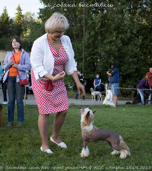 1920 X 2152 613.3 Kb 1920 X 1673 498.6 Kb 15-16 августа 2015 КСС Ижевск приглашает на выставку ранга ЧРКФ