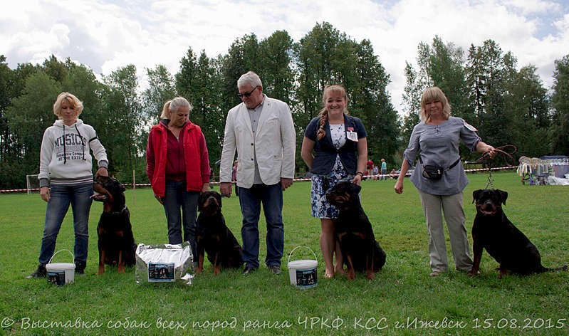 1920 X 1134 387.2 Kb 15-16 августа 2015 КСС Ижевск приглашает на выставку ранга ЧРКФ