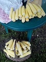 480 X 640 223.3 Kb �������� ��������