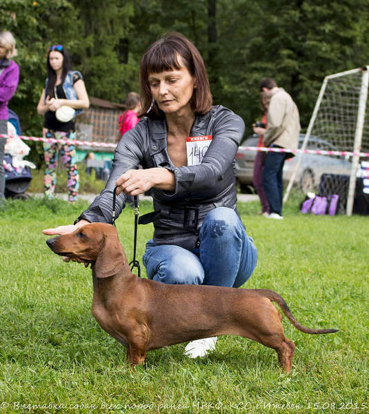 1920 X 2152 610.9 Kb 15-16 августа 2015 КСС Ижевск приглашает на выставку ранга ЧРКФ