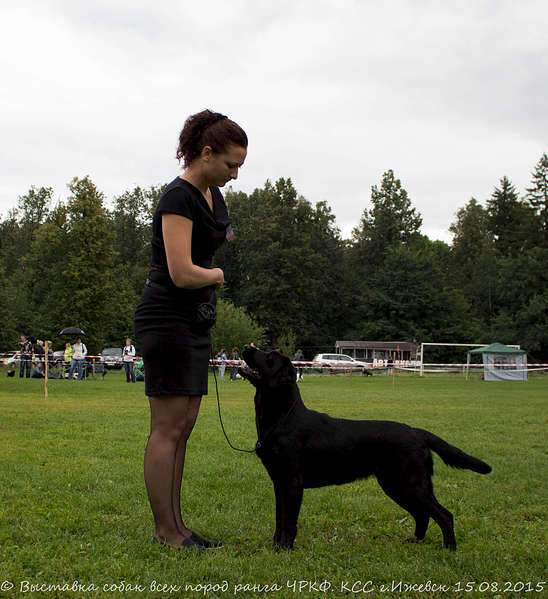 1920 X 2100 463.7 Kb 1920 X 1765 526.7 Kb 15-16 августа 2015 КСС Ижевск приглашает на выставку ранга ЧРКФ