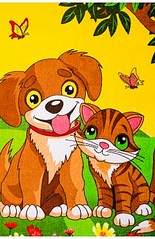 240 X 370 40.7 Kb ,  ,   .  