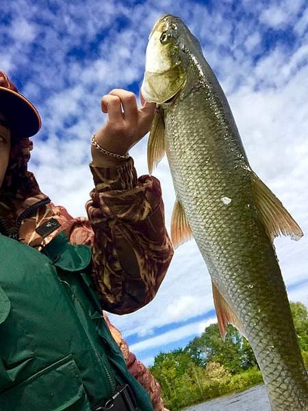 960 X 1280 359.0 Kb 960 X 1280 373.8 Kb 960 X 1280 304.0 Kb      