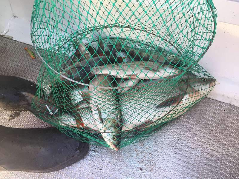 1920 X 1440 426.4 Kb 1920 X 2560 287.1 Kb 960 X 1280 359.0 Kb 960 X 1280 373.8 Kb 960 X 1280 304.0 Kb      