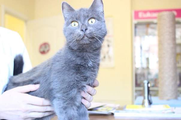 604 x 401 604 x 401 604 x 401        