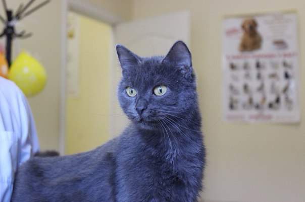 604 x 401 604 x 401 604 x 401 604 x 401 604 x 401        