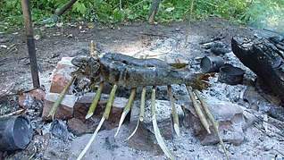 994 X 559 105.4 Kb 994 X 746 121.7 Kb    