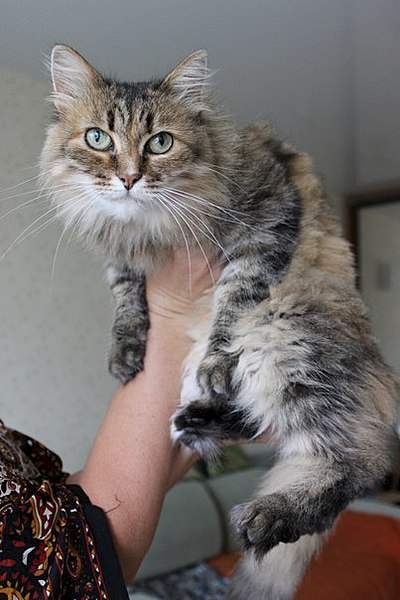 403 X 604  47.9 Kb 604 x 403 403 X 604  50.7 Kb -    )  !