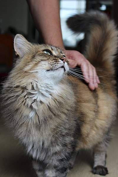 403 X 604  47.6 Kb 403 X 604  47.9 Kb 604 x 403 403 X 604  50.7 Kb -    )  !