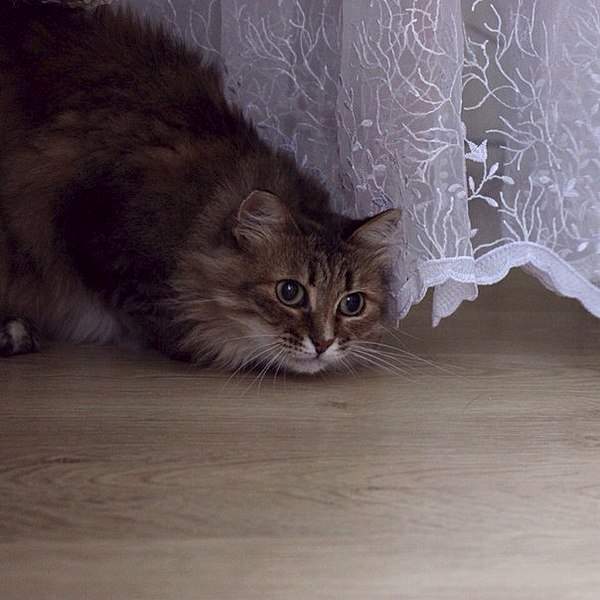 604 X 604  58.3 Kb 403 X 604  47.6 Kb 403 X 604  47.9 Kb 604 x 403 403 X 604  50.7 Kb -    )  !