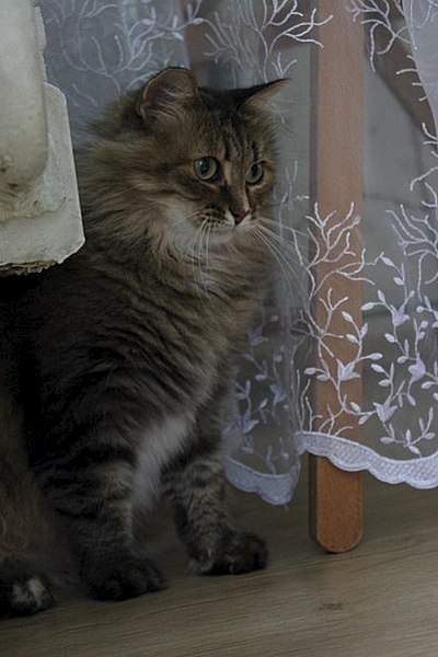 403 X 604  42.4 Kb 604 x 493 403 X 604  45.1 Kb -    )  !