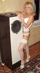 221 X 400 25.8 Kb  ,  .