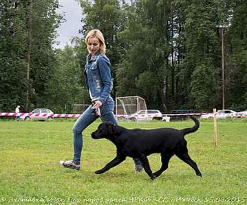 719 X 600 159.5 Kb 612 X 600 146.0 Kb   