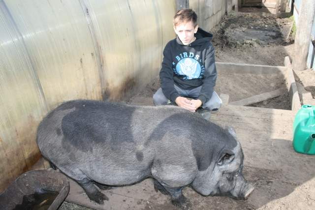 640 x 427 640 x 427 640 x 427    