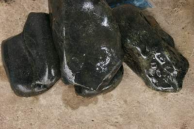 604 X 402 66.2 Kb 499 X 499 26.2 Kb    ()