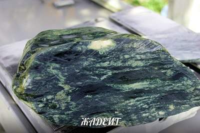 604 X 402 60.2 Kb    ()