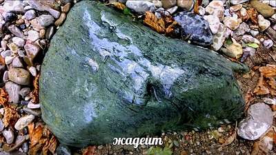 604 X 340 84.3 Kb 604 X 402 72.6 Kb 604 X 464 55.3 Kb 604 X 402 60.2 Kb    ()