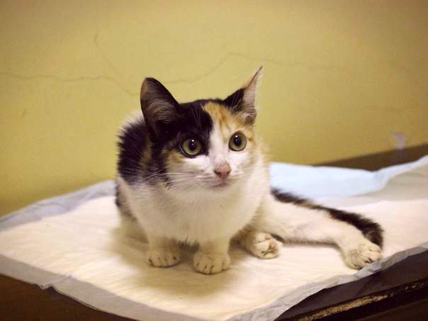 604 x 453 604 x 453 604 x 453  .   .