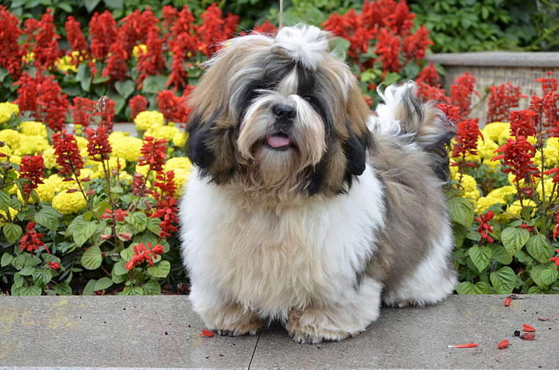 1920 X 1271 336.4 Kb  -