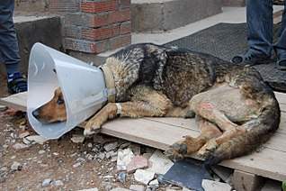 1280 X 851 263.8 Kb  5      !