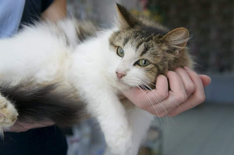 1280 X 850 122.5 Kb  !     