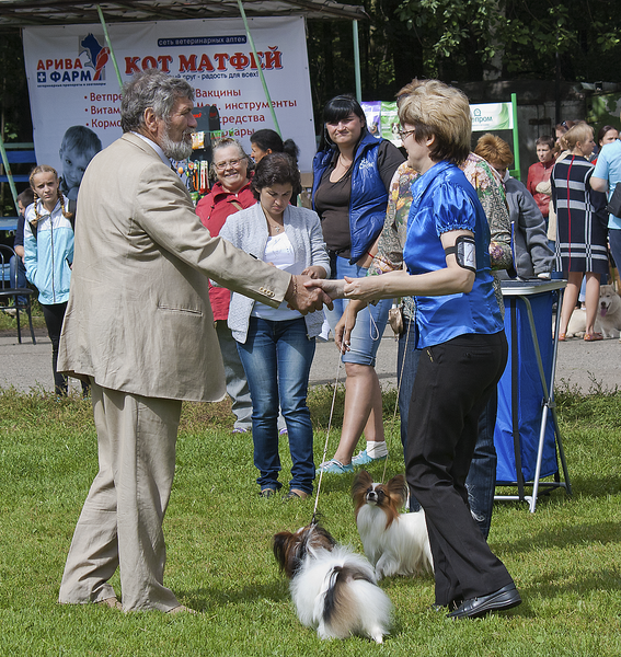 1210 X 1280  2.9 Mb 1280 X 1012  2.5 Mb 1175 X 1280  2.9 Mb 982 X 1280  2.0 Mb 870 X 1280  1.8 Mb 15-16 августа 2015 КСС Ижевск приглашает на выставку ранга ЧРКФ