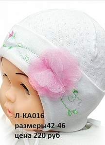 308 X 427 47.4 Kb 450 X 500 34.9 Kb        ''