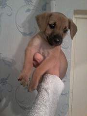 1200 X 1600 448.6 Kb   