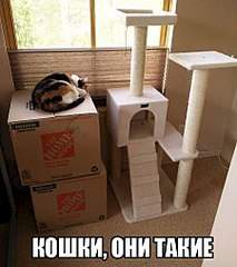 450 X 505 45.9 Kb Улыбнемся?