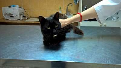 1920 X 1080 191.5 Kb 1920 X 1080 214.8 Kb SOS.    .  .