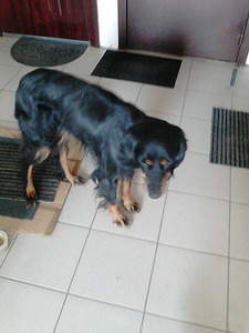 1536 X 2048 596.7 Kb 1536 X 2048 637.8 Kb !