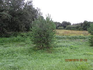 1920 X 1440 395.4 Kb ������ �����