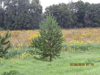 1920 X 1440 456.4 Kb 1920 X 1440 395.4 Kb ������ �����