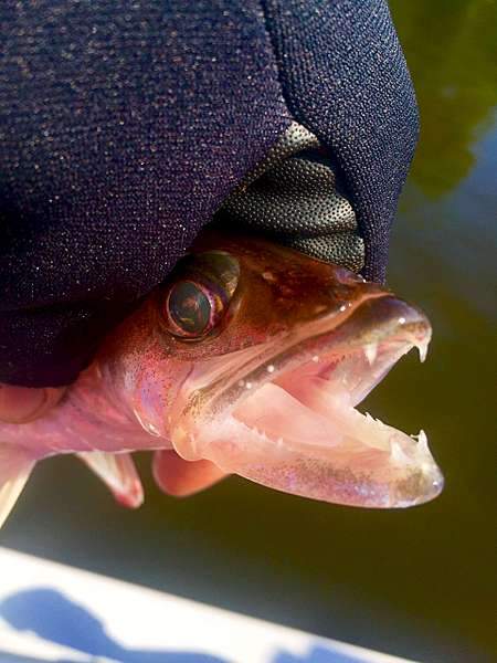 1920 X 2560 407.5 Kb      