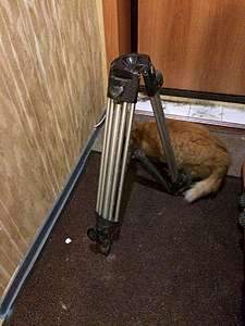 1080 X 1440 167.0 Kb      